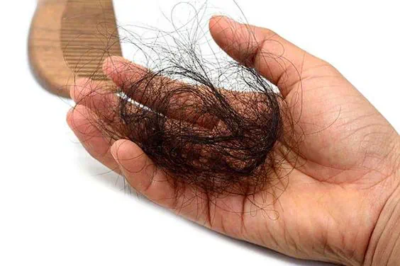 Gội đầu dưỡng sinh giảm rụng tóc 
